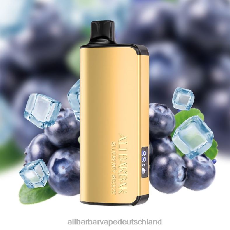 Alibarbar Ingot 20000 Einweg-Vaporizer Blaubeerbrise P88BJ32 - Alibarbar Vape Review